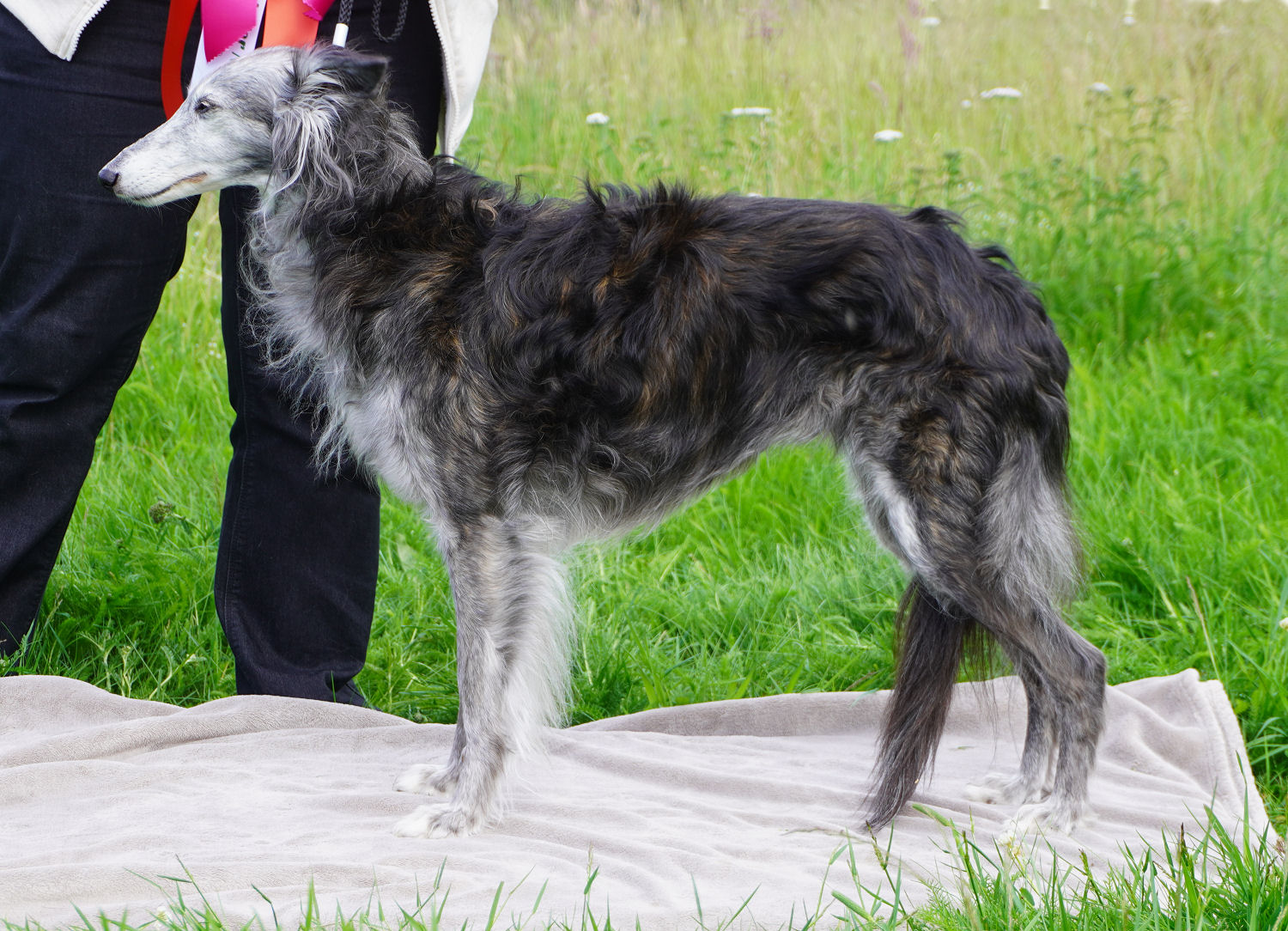 Maya - 10 Jahre alt