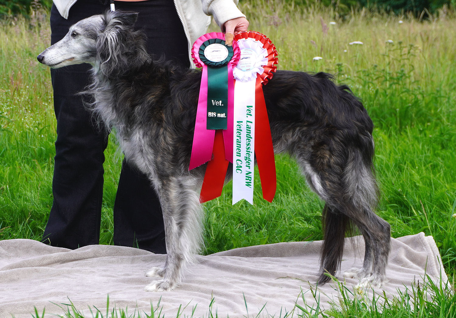 Kristull Yamaha Silken Windhound