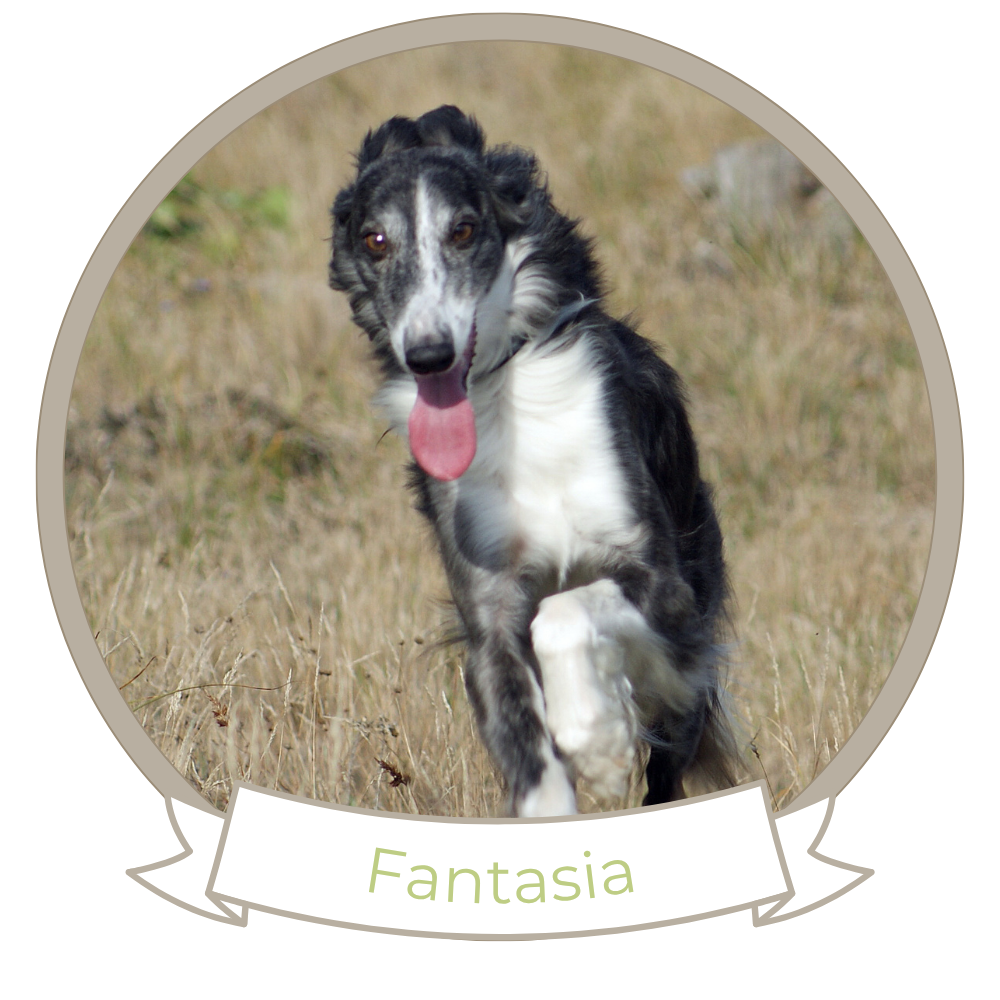 Fantasia of SilkenJoy